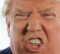 Image result for Donald Trump Human Design Chart