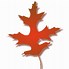 Image result for Transparent Oak Leaf Silhouette