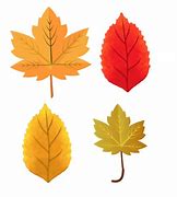 Image result for Printable Fall Leaves Images