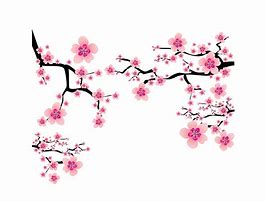 Image result for Cherry Blossom Branch Vector