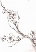 Image result for Cherry Blossom Branch Outline