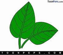 Image result for Draw Leaf