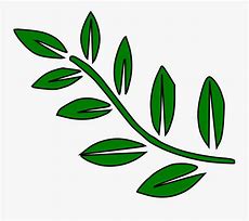 Image result for Olive Branch Graphic Clip Art