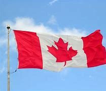 Image result for Canada Flag Icon