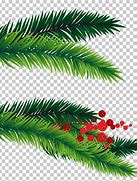 Image result for Pine Tree Leaves Vector