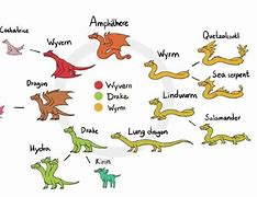 Image result for Dragon Pics Type