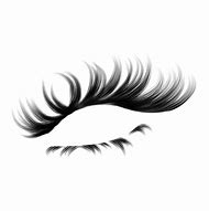 Image result for Drawing of Lashes