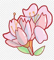 Image result for Cherry Blossom Branch Illustration