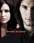 Image result for Vampire Academy Book Series