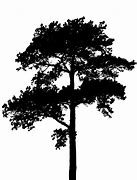 Image result for Silhouette of Trees