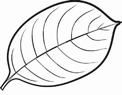 Image result for Coloring Page of Leaf