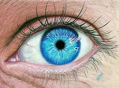 Image result for Realistic Colored Pencil Eye Drawings