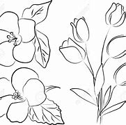 Image result for Flower Elegant Bouquet Drawing Easy