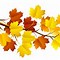 Image result for Free Fall Autumn Leaves Clip Art