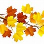 Image result for Fall Season Leaves