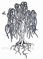 Image result for Willow Tree Design Circle