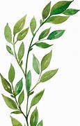 Image result for Transparent Watercolor Greenery