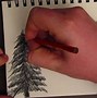 Image result for Tree Branch Pencil Drawing