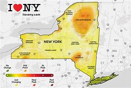 Image result for New York Fall Color. Time Map