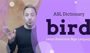 Image result for Free American Sign Language Flash Cards