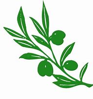 Image result for Olive Branch Graphic Clip Art