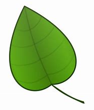 Image result for Animated Leaves Clip Art