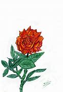 Image result for Brown Flower Drawing