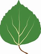 Image result for Aspen Leaf Background