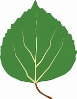 Image result for Aspen Leaf Tattoo