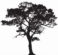 Image result for Draw Tree Silhouette