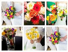 Image result for Bright Colored Flowers