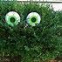 Image result for Creative Outdoor Halloween Decorations