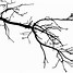 Image result for SIB Tree Branch Icon