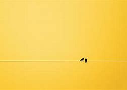 Image result for Minimalist Plain Background