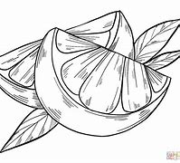 Image result for Orange Wedge Coloring Page