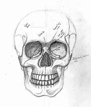 Image result for Skeleton Face Drawing