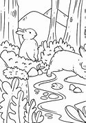 Image result for Find Art in Nature Coloring Picture