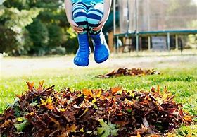 Image result for Jumping in Leaves