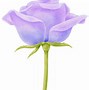 Image result for Valentine Roses Love You Eomji