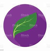 Image result for Eco-Leaf Icon