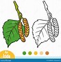 Image result for Birch Leaf Line Illustration