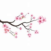 Image result for Cherry Blossom Branch Illustration