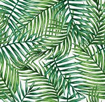 Image result for Tropical Leaf Design