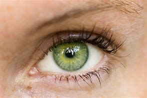 Image result for Real Green Eye Textures