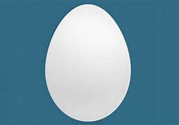 Image result for Twitter Egg Icon