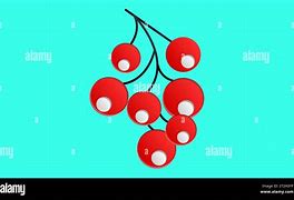 Image result for Drawings of Holly Berries