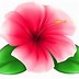 Image result for Hot Pink Flower Clip Art