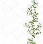 Image result for Vine Leaves Drawing