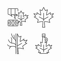 Image result for Canada Maple Leaf Green