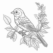 Image result for Black Outline of a Bird On a Branch